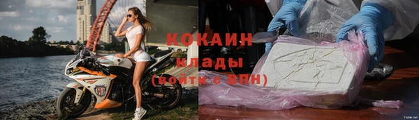эйфоретик Няндома