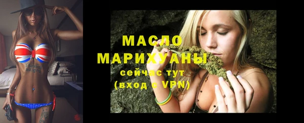 эйфоретик Няндома