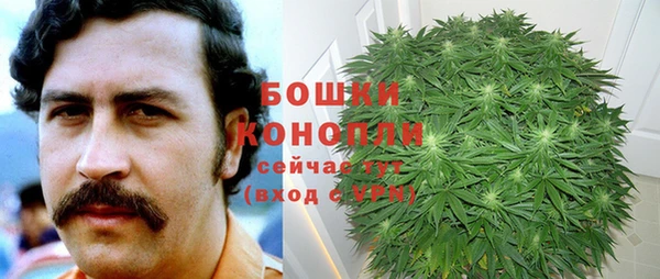 эйфоретик Няндома