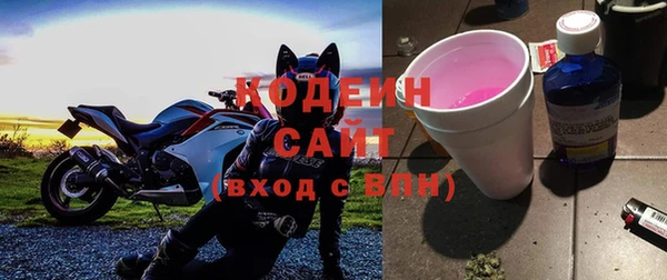 эйфоретик Няндома