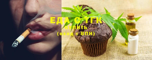 эйфоретик Няндома