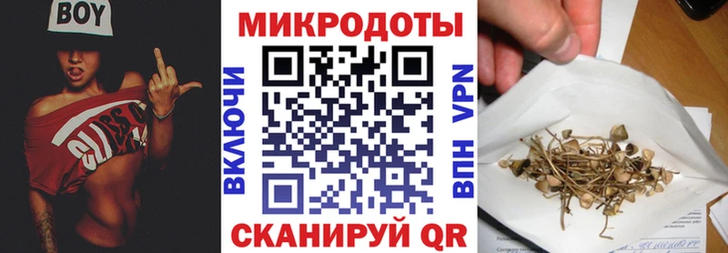 Галлюциногенные грибы Psilocybe  Петровск 