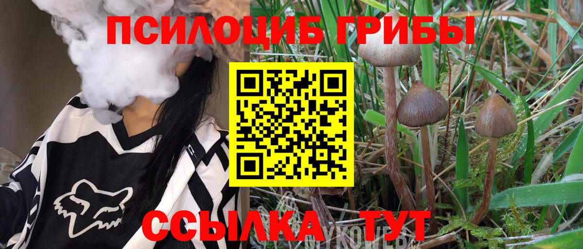 Галлюциногенные грибы мухоморы Петровск