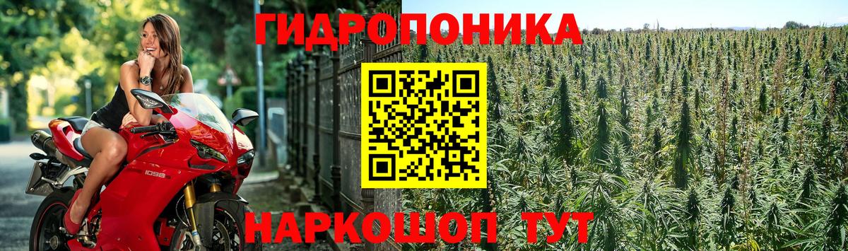 Петровск  Шишки марихуана Bruce Banner  Канабис Bruce Banner  Вход с VPN 